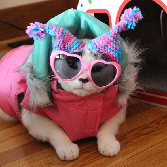 Meet your Posher, Pam - Picture 1 of 1